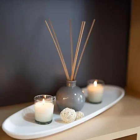 Apartment Le Chaleureux - Un Bijou De - So Cozy Toulouse